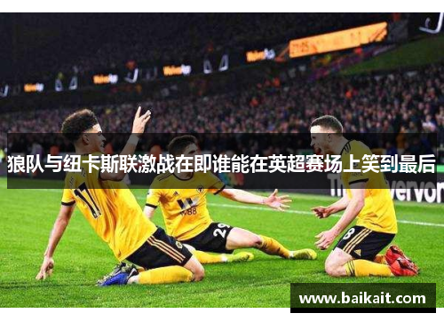 狼队与纽卡斯联激战在即谁能在英超赛场上笑到最后